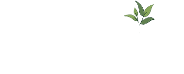 Logotipo de Dosanveira Empresa de Servicios