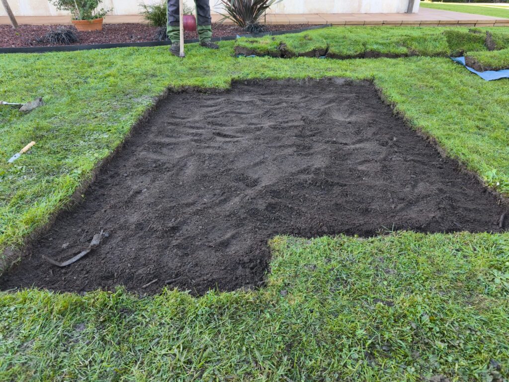 desbroce de fincas