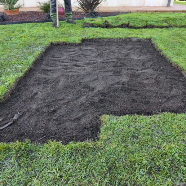 desbroce de fincas