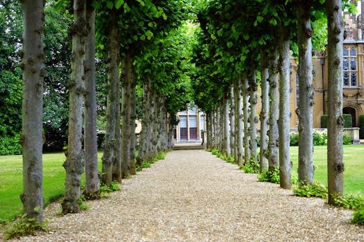 Diseño de jardines en Siero