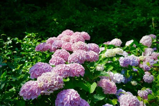 Jardines en Siero